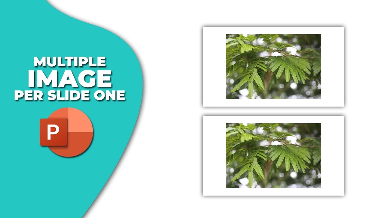 How to insert multiple image in PowerPoint Per slide One - YouTube