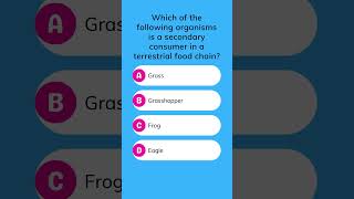 Who is the secondary consumer in a terrestrial food chain? Who is the secondary consumer in a terrestrial food chain?