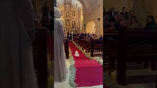 Dog Walking into a Wedding as a Ring Bearer