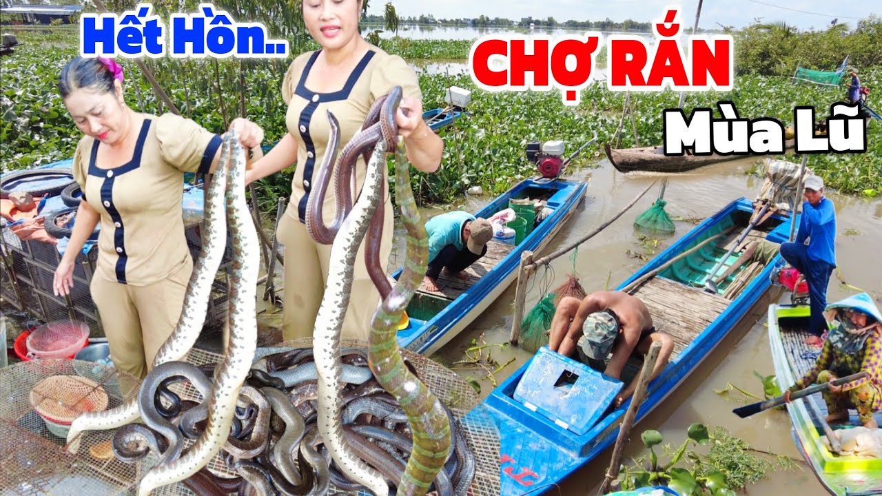 CHỢ RẮN 