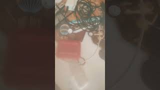 POV mon setup en bazard