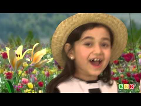 მუსიკის ჰანგები