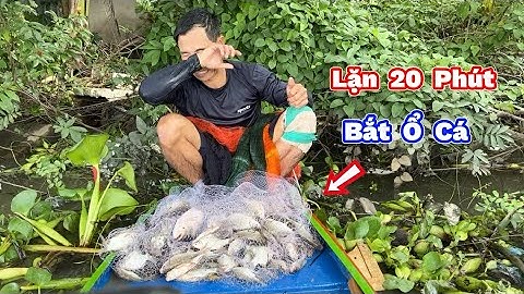 Chia Sẽ Thật Lòng Cách QUĂNG CHÀI Bắt Cá Đạt 99%. Sharing How to Cast a Net to Catch Fish