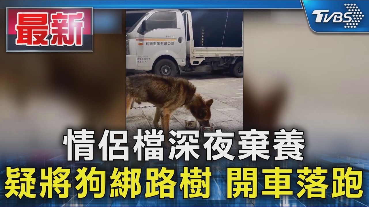 情侶檔深夜棄養 疑將狗綁路樹 開車落跑｜TVBS新聞 @TVBSNEWS01