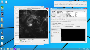 High Speed Illumination with Prime sCMOS Camera