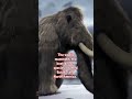 #trending #viral #subscribe #animals