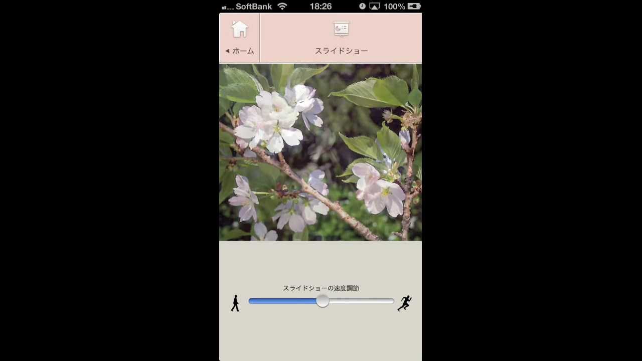 さくら図鑑　スライドショー（iPhone版） - YouTube yoshi wata