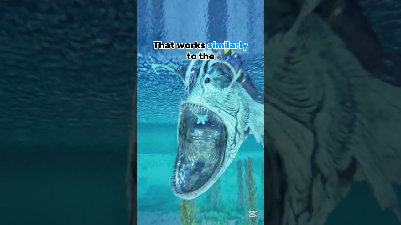 3 THINGS about Anglerfishes in ARK : Survival Ascended !