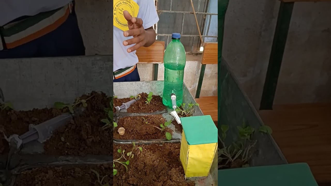 River Connection !! Inspire manak award !! Science Projects !! Science Exhibition in Odia