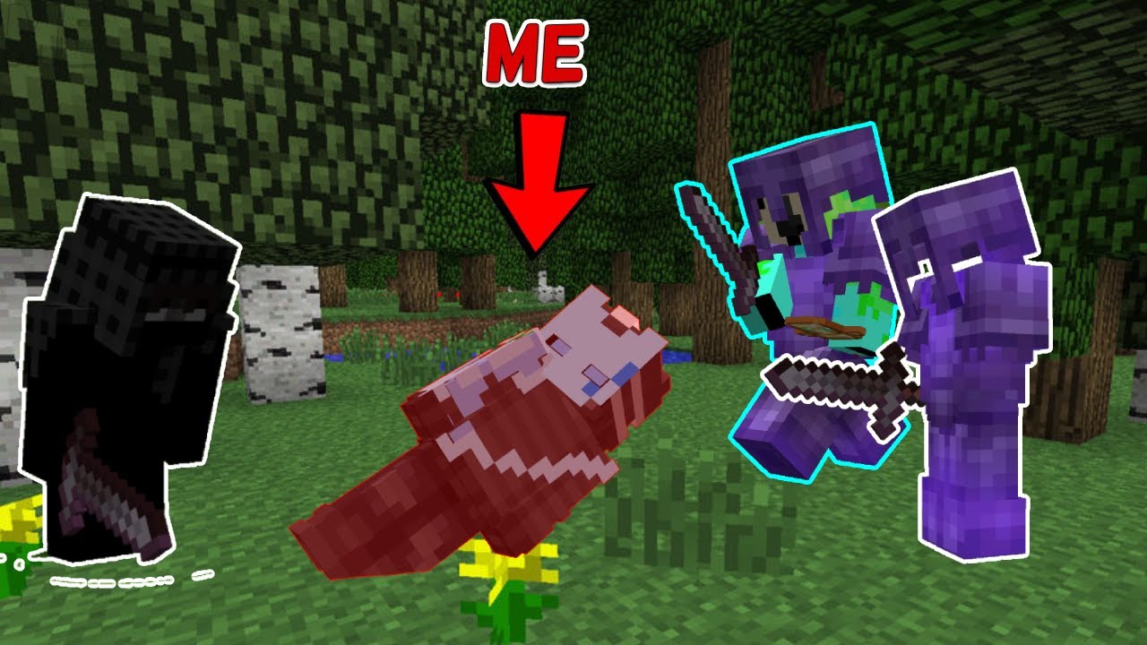 How I lost EVERYTHING on a Minecraft SMP - YouTube