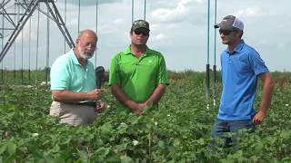 Part 6 Benefits of Micro-Managing Crop Nutrition