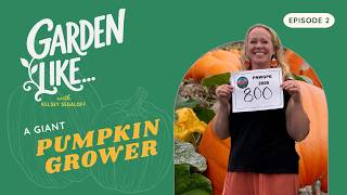 How to Grow a Giant Pumpkin with Amy Turnbull