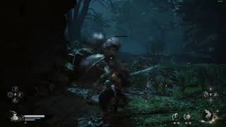 Black Myth Wukong 18