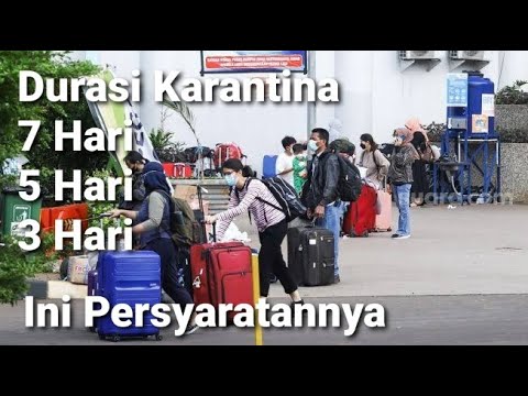 Video: Syarikat penerbangan manakah yang membuat penerbangan ke Reno NV?