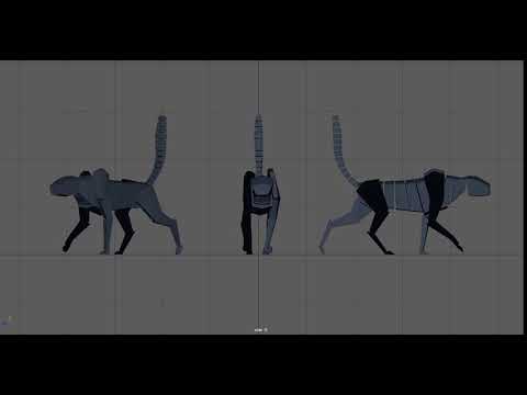 Cat Walk Cycle Test