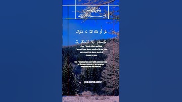6 ) Surah Yunus‎- سورة يونس ‎- ( Prophet Jonah AS) 10:15-17 #কুরআন #তেলওয়াত