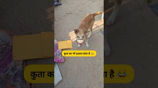 कुता का भी इज़्ज़त होता है 🐕😂 #thetharpuns #munnakumarfun #funny #dog