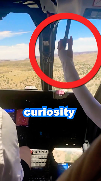 Never Touch This Helicopter Lever!