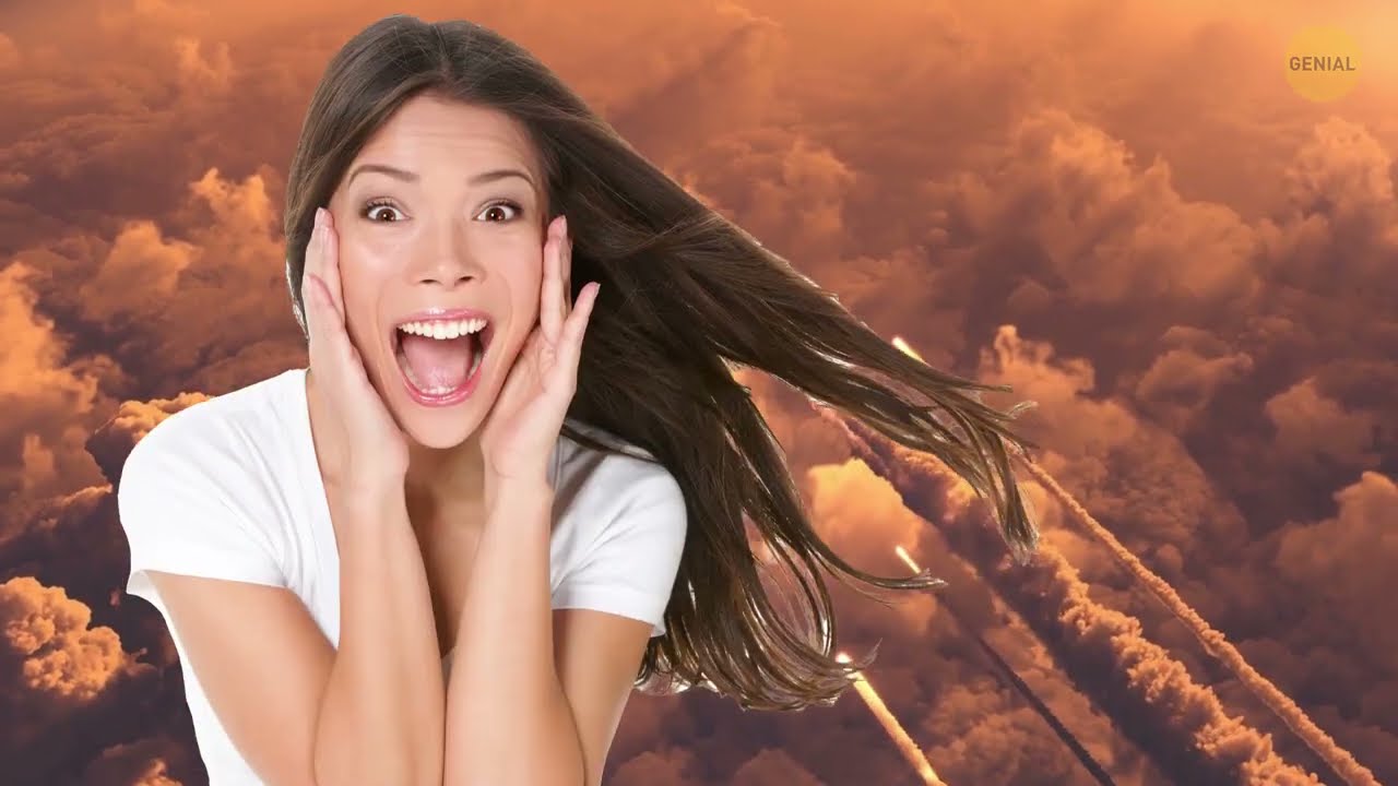 bichitos de casa que no se ven