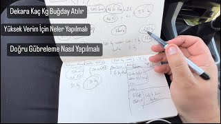 Yüksek Verim İçin Buğday Nasıl Ekilmeli | Gübreleme Nasıl Yapılmalı | Yapılan Yanlışlar