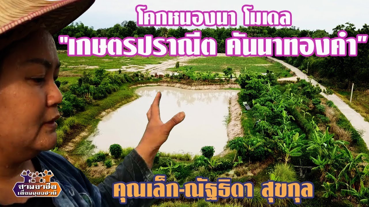 โคกหนองนาโมเดล 