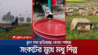 সরিষা ফুলের মধু নিয়ে ভুল ধারণা ভোক্তাদের, বিপাকে চাষীরা | Honey Business