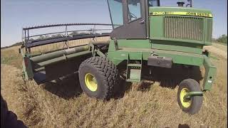 Wheat Swathing 22