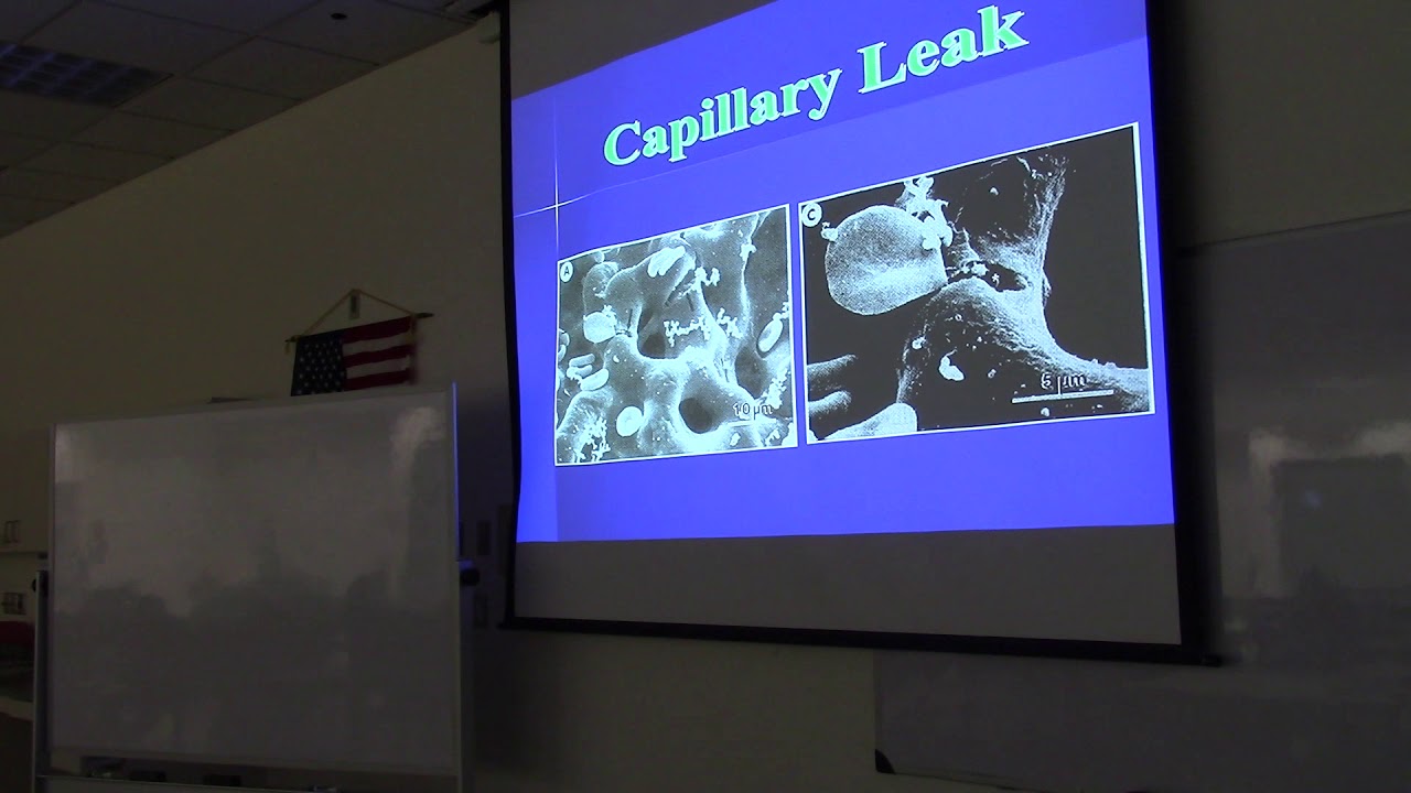 high-frequency-ventilation-youtube