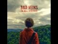 Bad Veins - I Turn Around