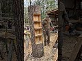 DIY Building a Tree Trunk Wooden Bookshelf from Scratch 😱. #shorts #diy