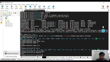 Dockers: Docker Volumes vs Bind Mounts