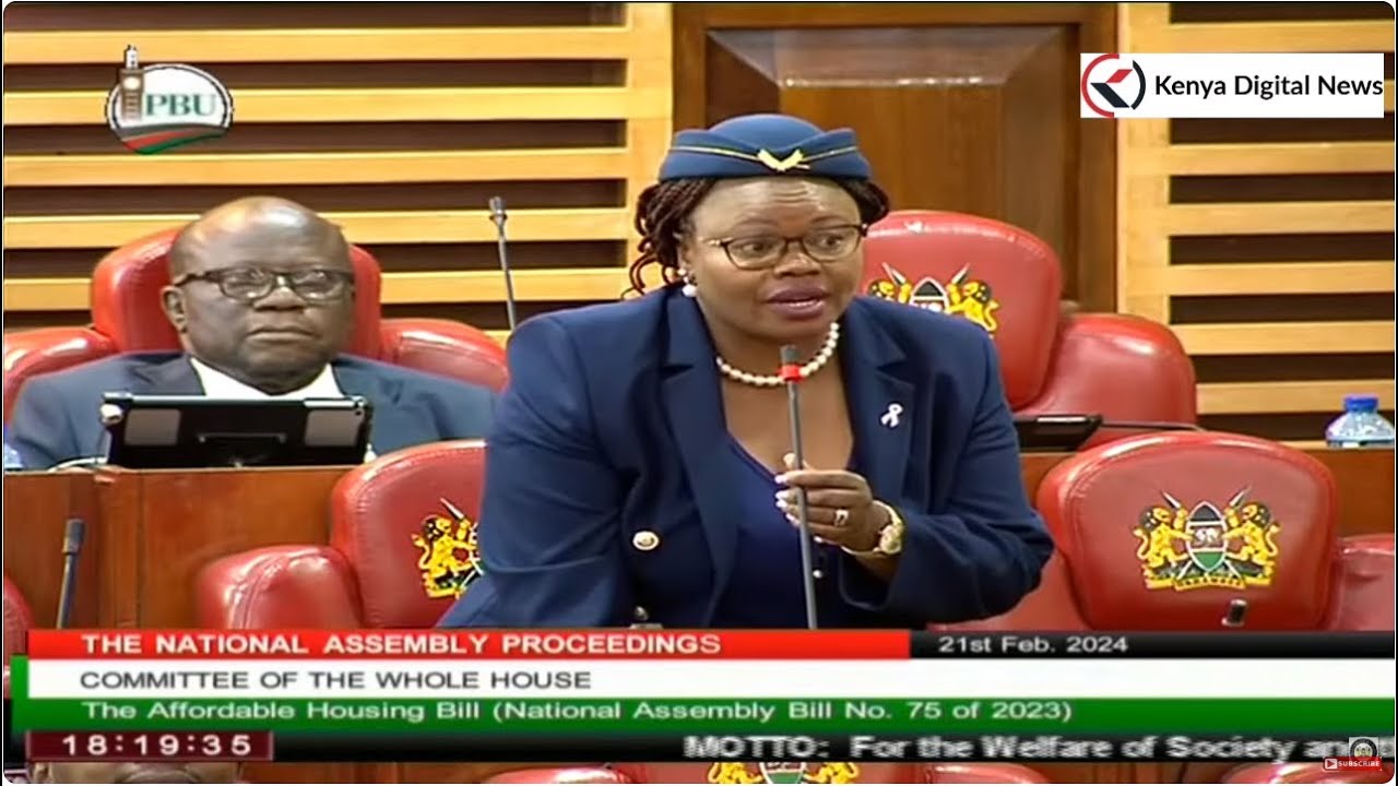 MP Wamuchomba loses her cool & lectures Ichungwa like a kid in Parliament!!