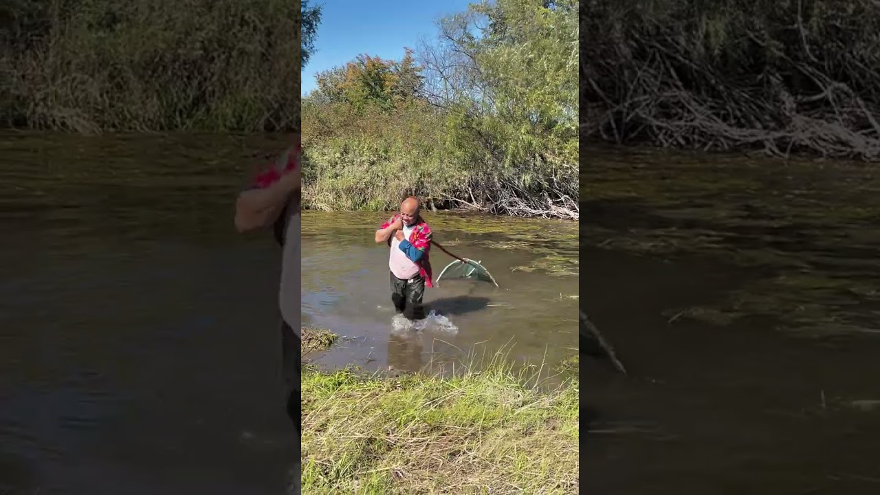 Village River Fish catching idea 