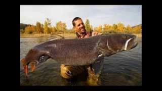 World's Biggest Monster Trout