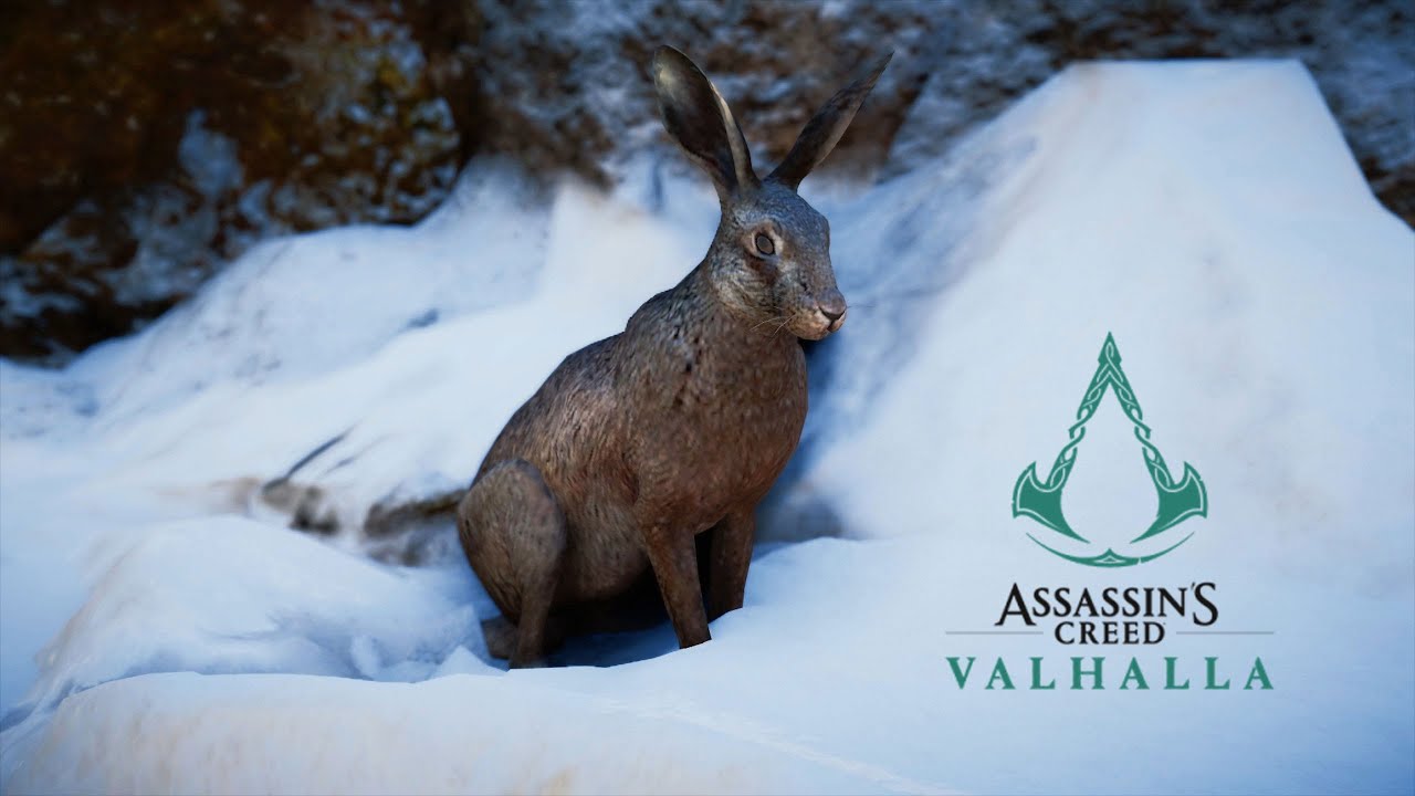 Assassin's Creed Valhalla | World Event - Dellingr Rabbit - YouTube
