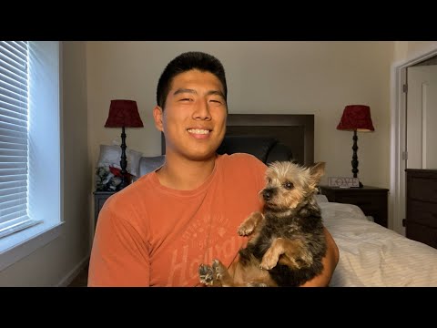 Is the PhD better than the MD?? (Penn MD/PhD 4th Year Reflects)