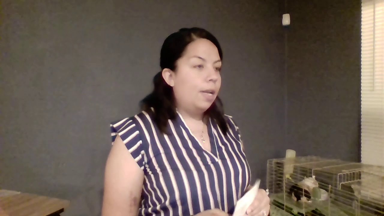 introductory-drafting-speech-youtube