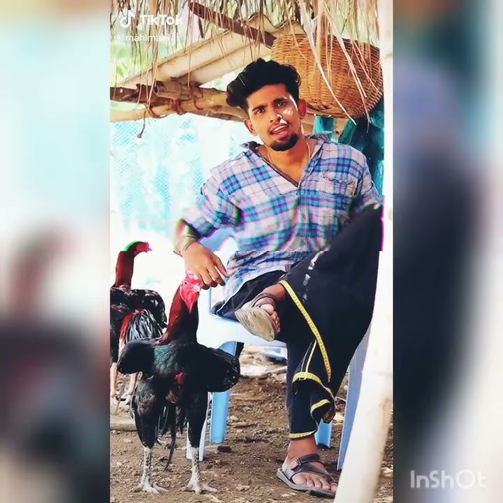 Tamil Seval sandai status tamilan panpadu 🔥🔥🔥🔥