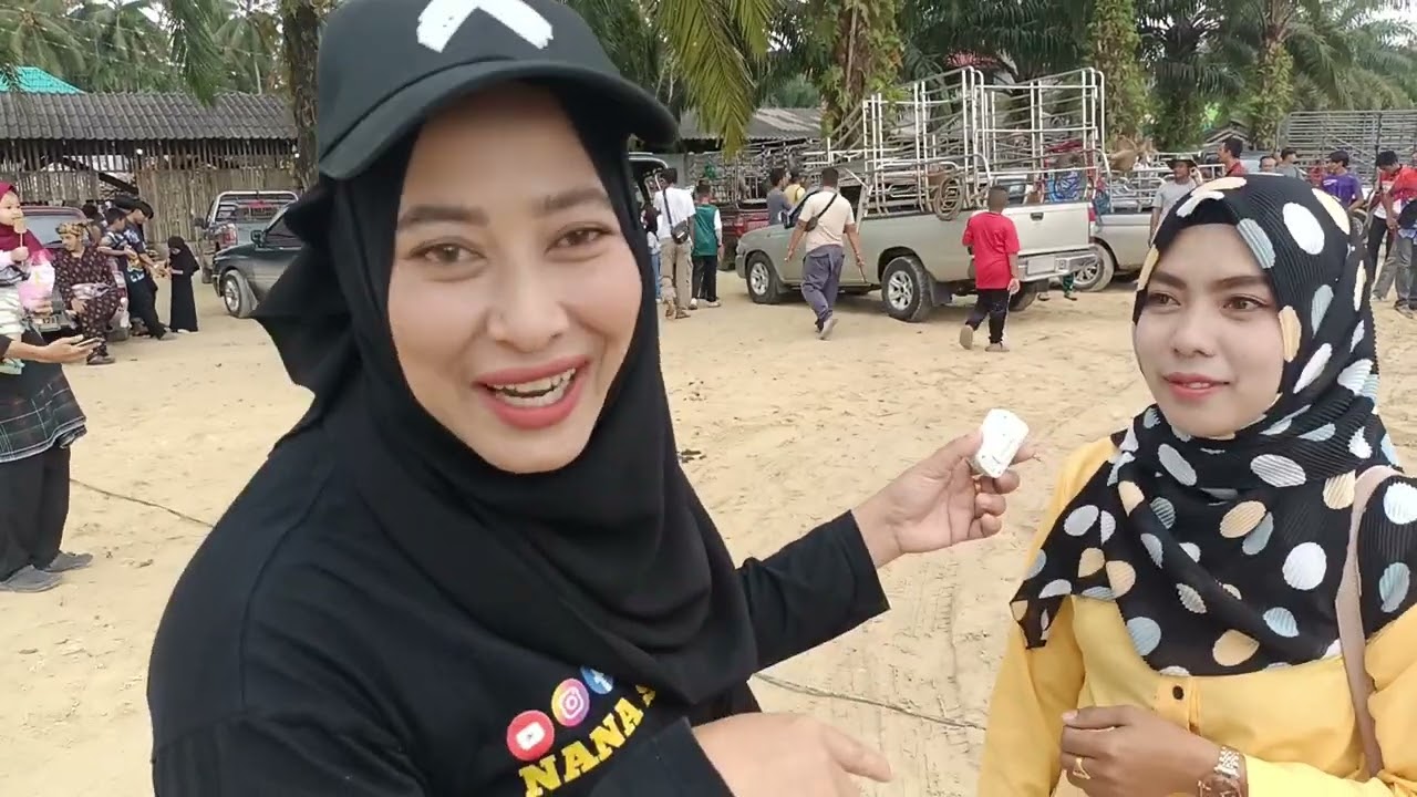 Cerita Beruk buat orang naik angin.DI pertandingan Beruk Panjat Kelapa kg. jujo Takbai Narathiwat