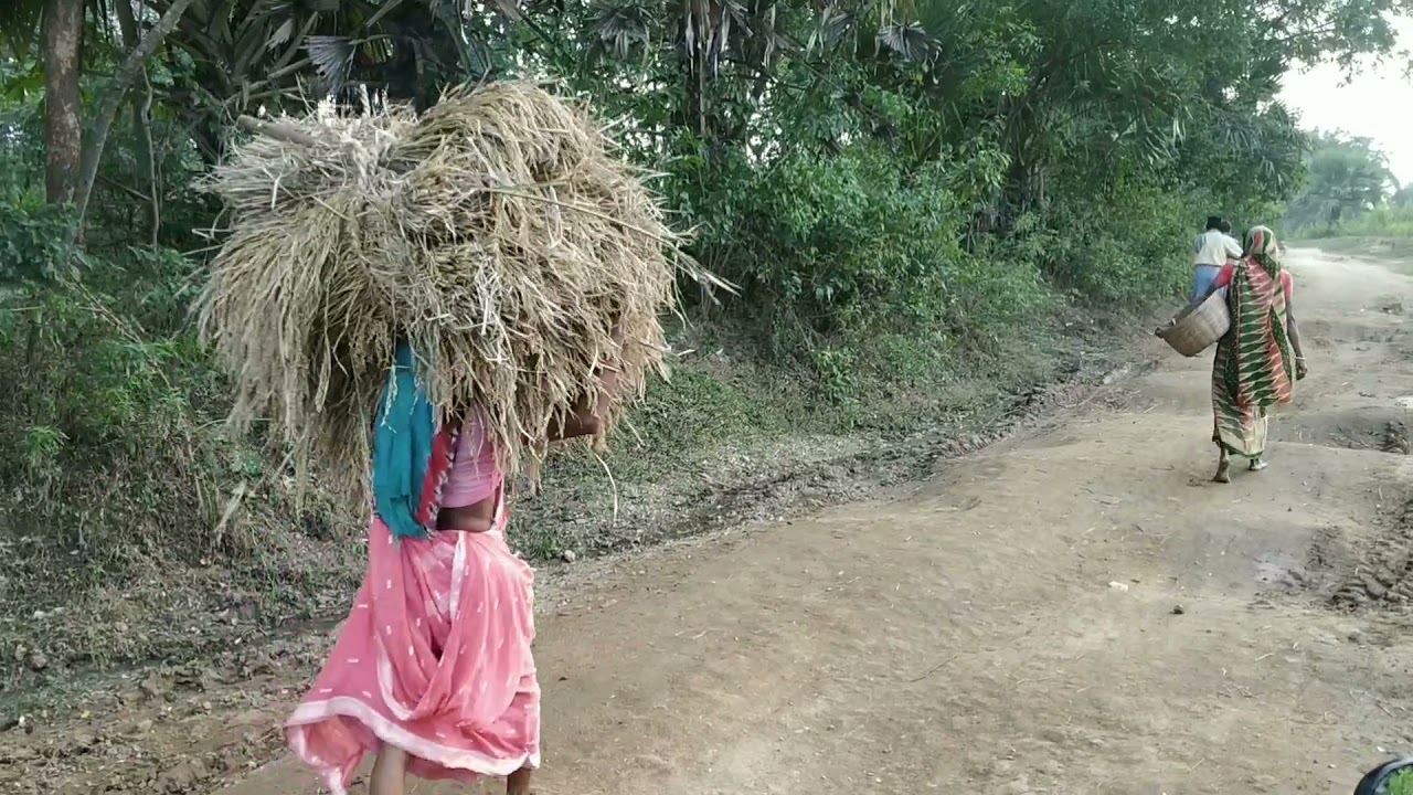 Rural life ll Purulia ll West Bengal ll    গ্রামের দৃশ্য।। পুরুলিয়া।। পশ্চিমবঙ্গ।।