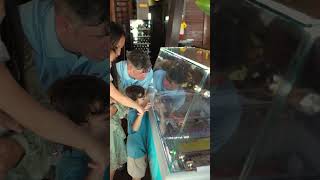 Desa Swan Keramas Bali