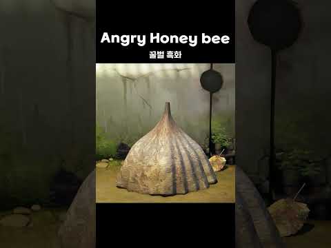 Angry <strong>Honey</strong> <strong>bee</strong> #shorts #larva #lardura