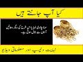 How Gold And Other Metals Came to Earth in Urdu - Mysteries of Space -  ...