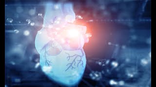 Drugs associated with myocarditis and pericarditis: Global pharmacovigilance analysis
