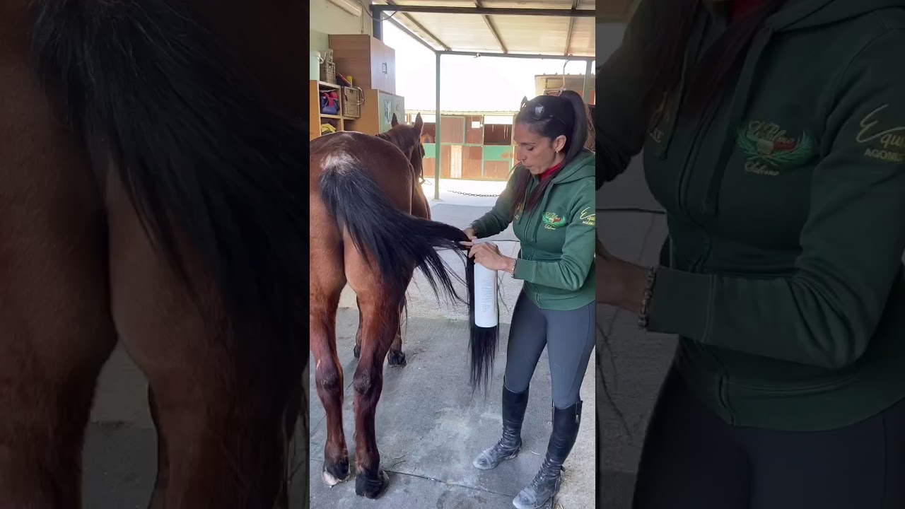 Come si pulisce il cavallo?