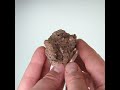 Vidéo: Topaze, mine de San Felipe, Mexique, 47 grammes