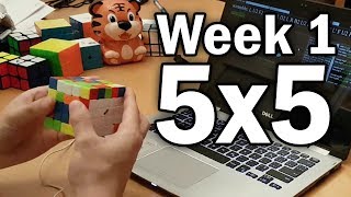What I Learned on 5x5 | Week 1 Profile