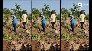 #WorldEnvironmentDay | Bajaj Allianz General Insurance