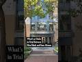 Musk Wraps Up Testimony In OpenAI Trial: Here's What's at Stake | WSJ