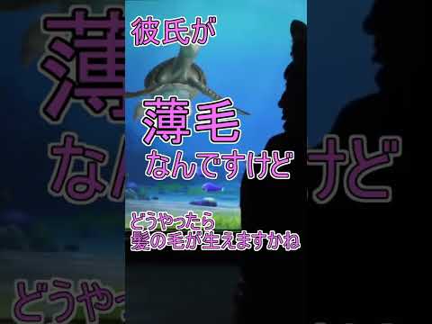 彼氏が薄毛なんですけど【タートルトーク】東京ディズニーシー#Shorts